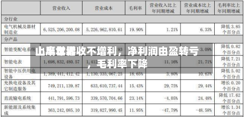 山鹰世界上半年增收不增利	，净利润由盈转亏，毛利率下降-第2张图片