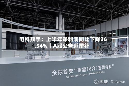 电科数字：上半年净利润同比下降36.54%丨A股公告避雷针-第3张图片