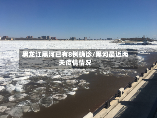 黑龙江黑河已有8例确诊/黑河最近两天疫情情况-第2张图片
