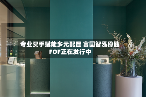 专业买手赋能多元配置 富国智泓稳健FOF正在发行中-第2张图片
