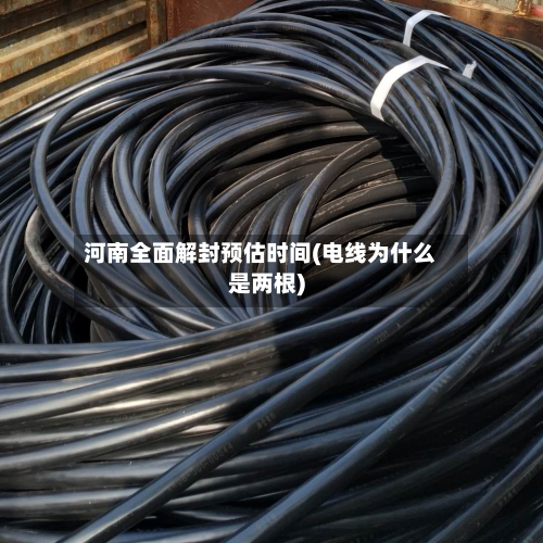 河南全面解封预估时间(电线为什么是两根)