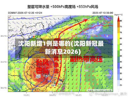 沈阳新增1例是哪的(沈阳新冠最新消息2026)-第2张图片