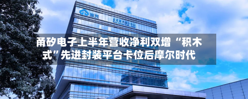 甬矽电子上半年营收净利双增 “积木式”先进封装平台卡位后摩尔时代-第3张图片