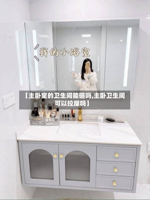 【主卧室的卫生间能砸吗,主卧卫生间可以拉屎吗】