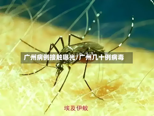 广州病例接触曝光/广州几十例病毒-第2张图片