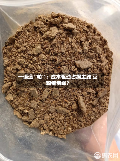 一语道“粕	”：成本驱动占据主线 豆粕费用如何演绎？-第1张图片