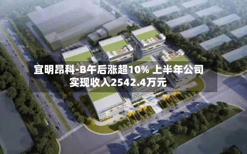 宜明昂科-B午后涨超10% 上半年公司实现收入2542.4万元-第3张图片