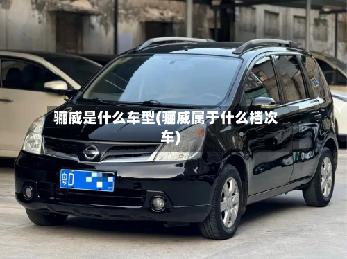 骊威是什么车型(骊威属于什么档次车)