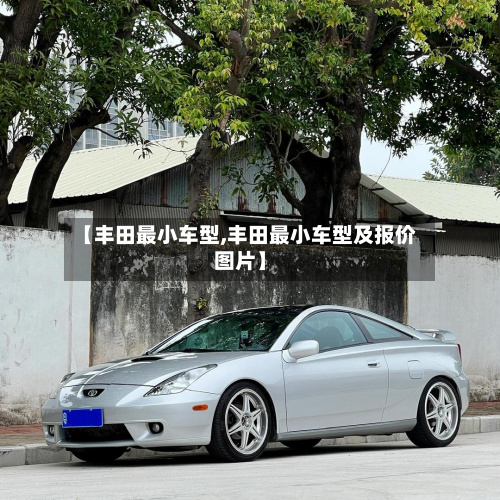 【丰田最小车型,丰田最小车型及报价图片】
