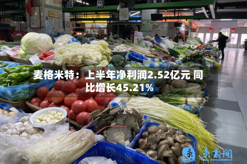麦格米特:上半年净利润2.52亿元 同比增长45.21%-第1张图片