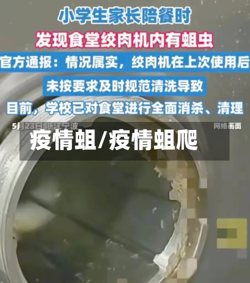 疫情蛆/疫情蛆爬-第2张图片