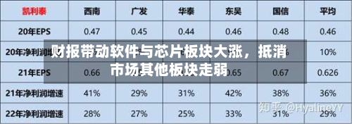 财报带动软件与芯片板块大涨，抵消市场其他板块走弱-第2张图片