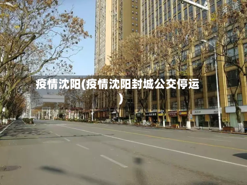 疫情沈阳(疫情沈阳封城公交停运)-第2张图片