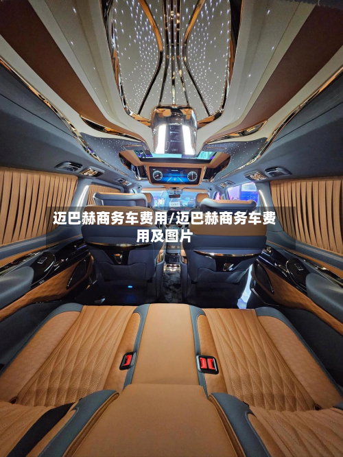 迈巴赫商务车费用/迈巴赫商务车费用及图片-第2张图片