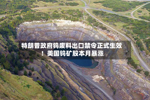 特朗普政府钨废料出口禁令正式生效！美国钨矿股本月暴涨-第2张图片