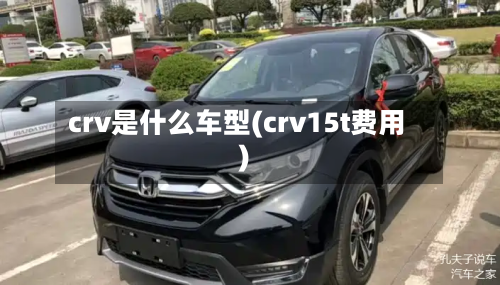 crv是什么车型(crv15t费用)