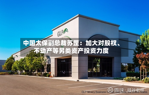 中国太保副总裁苏罡：加大对股权	、不动产等另类资产投资力度-第2张图片