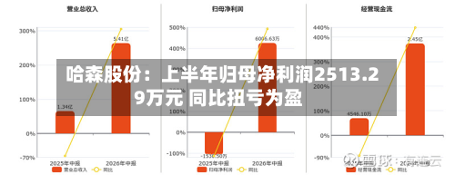 哈森股份：上半年归母净利润2513.29万元 同比扭亏为盈-第2张图片