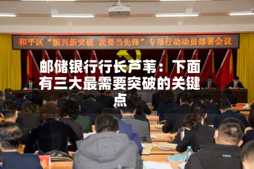 邮储银行行长芦苇：下面有三大最需要突破的关键点-第3张图片