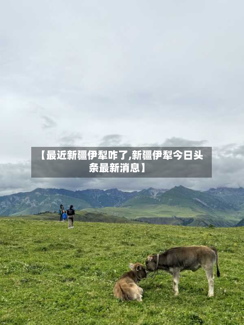【最近新疆伊犁咋了,新疆伊犁今日头条最新消息】-第2张图片