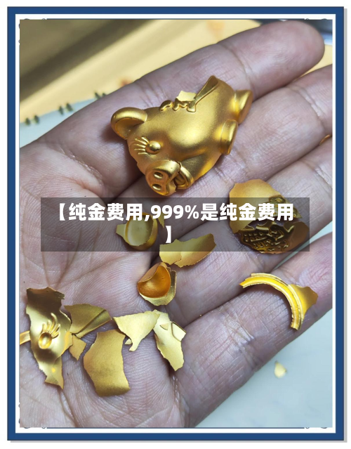 【纯金费用,999%是纯金费用】-第2张图片