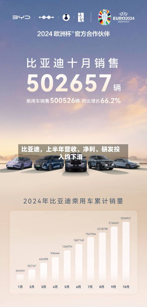 比亚迪，上半年营收、净利、研发投入均下滑-第2张图片
