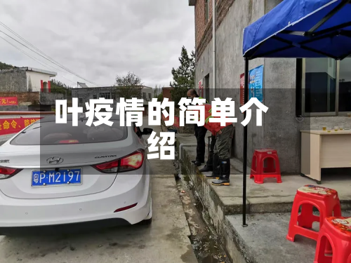 叶疫情的简单介绍-第3张图片