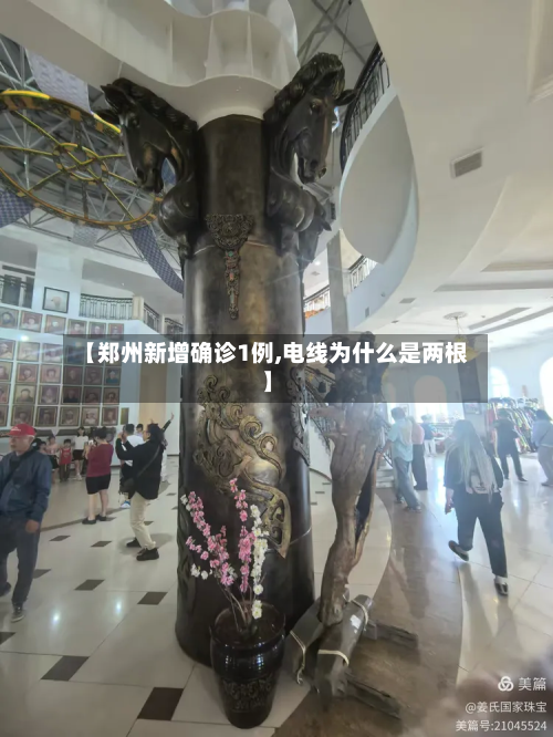 【郑州新增确诊1例,电线为什么是两根】