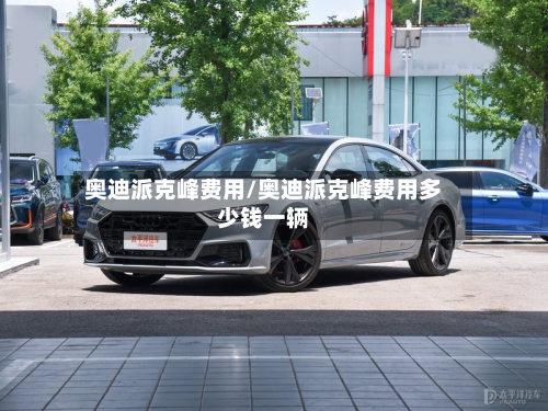 奥迪派克峰费用/奥迪派克峰费用多少钱一辆