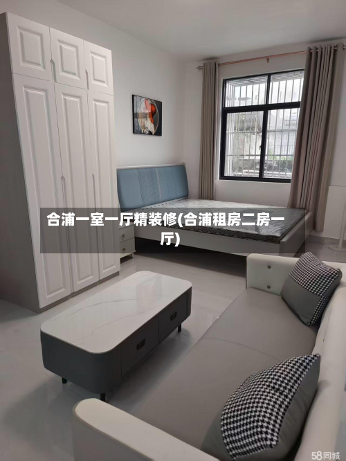 合浦一室一厅精装修(合浦租房二房一厅)-第2张图片