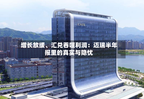 增长放缓、汇兑吞噬利润：迈瑞半年报里的真实与隐忧