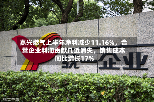 嘉兴燃气上半年净利减少11.16%，合营企业利润贡献几近消失，销售成本同比增长17%-第2张图片
