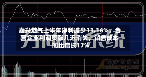 嘉兴燃气上半年净利减少11.16%	，合营企业利润贡献几近消失，销售成本同比增长17%-第3张图片