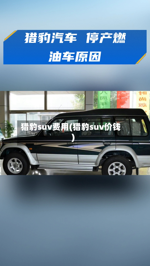 猎豹suv费用(猎豹suv价钱)-第2张图片