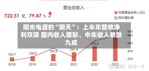 阳光电源的“阴天”：上半年营收净利双降 国内收入腰斩、中东收入暴跌九成