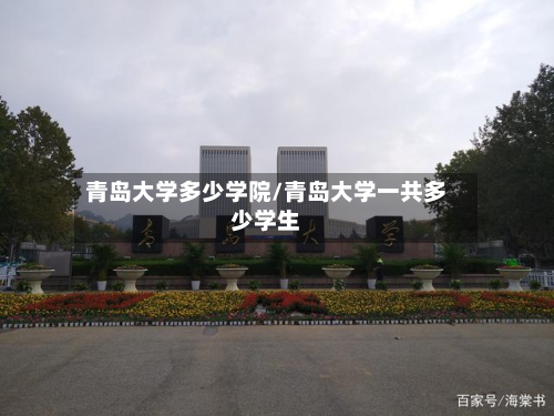 青岛大学多少学院/青岛大学一共多少学生