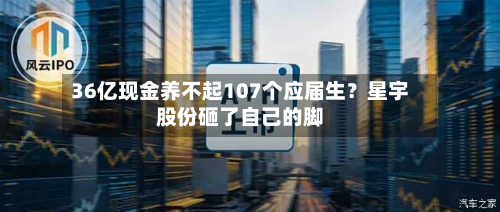 36亿现金养不起107个应届生？星宇股份砸了自己的脚-第2张图片