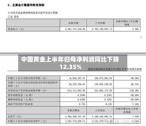 中国黄金上半年归母净利润同比下降12.35%