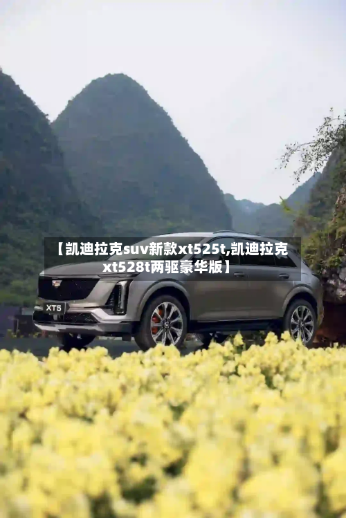 【凯迪拉克suv新款xt525t,凯迪拉克xt528t两驱豪华版】