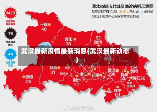 武汉最新疫情最新消息(武汉最新动态)-第3张图片