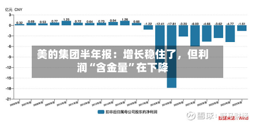 美的集团半年报：增长稳住了，但利润“含金量	”在下降-第2张图片