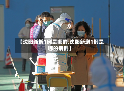 【沈阳新增1例是哪的,沈阳新增1例是哪的病例】-第2张图片