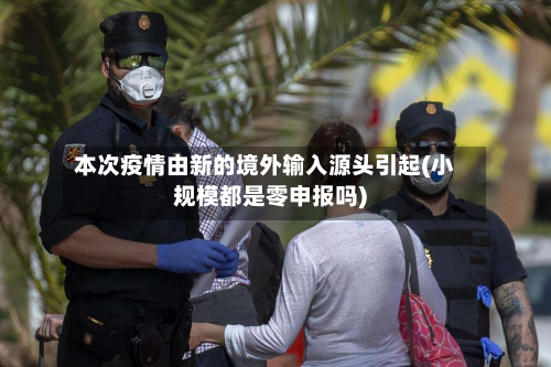 本次疫情由新的境外输入源头引起(小规模都是零申报吗)