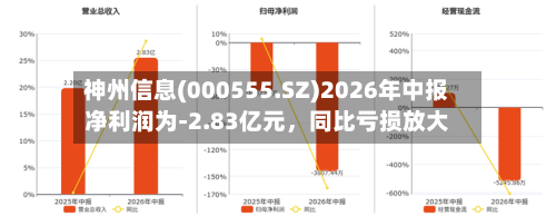 神州信息(000555.SZ)2026年中报净利润为-2.83亿元，同比亏损放大-第3张图片