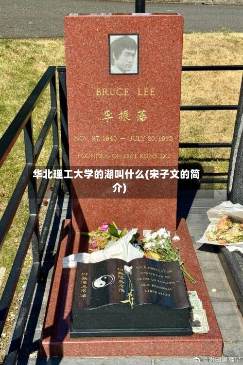华北理工大学的湖叫什么(宋子文的简介)-第3张图片