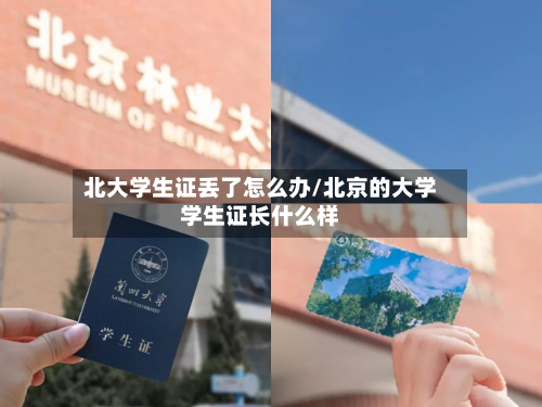 北大学生证丢了怎么办/北京的大学学生证长什么样-第2张图片