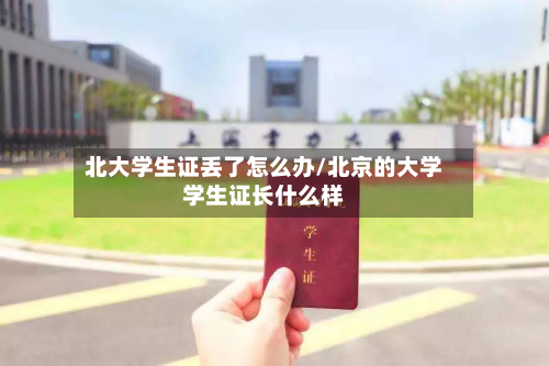 北大学生证丢了怎么办/北京的大学学生证长什么样-第3张图片