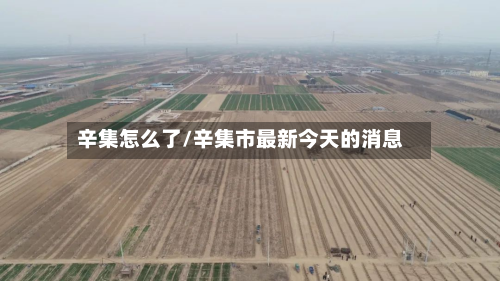 辛集怎么了/辛集市最新今天的消息-第2张图片