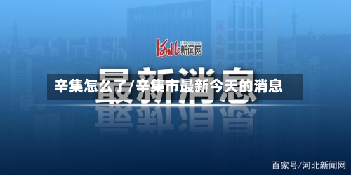 辛集怎么了/辛集市最新今天的消息-第3张图片
