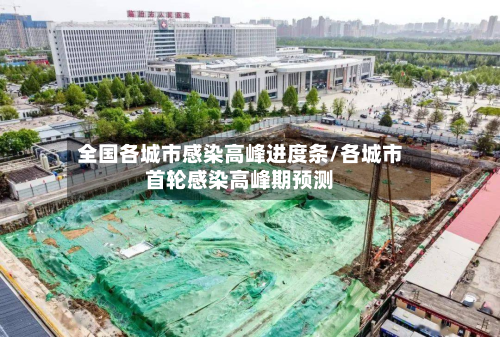 全国各城市感染高峰进度条/各城市首轮感染高峰期预测